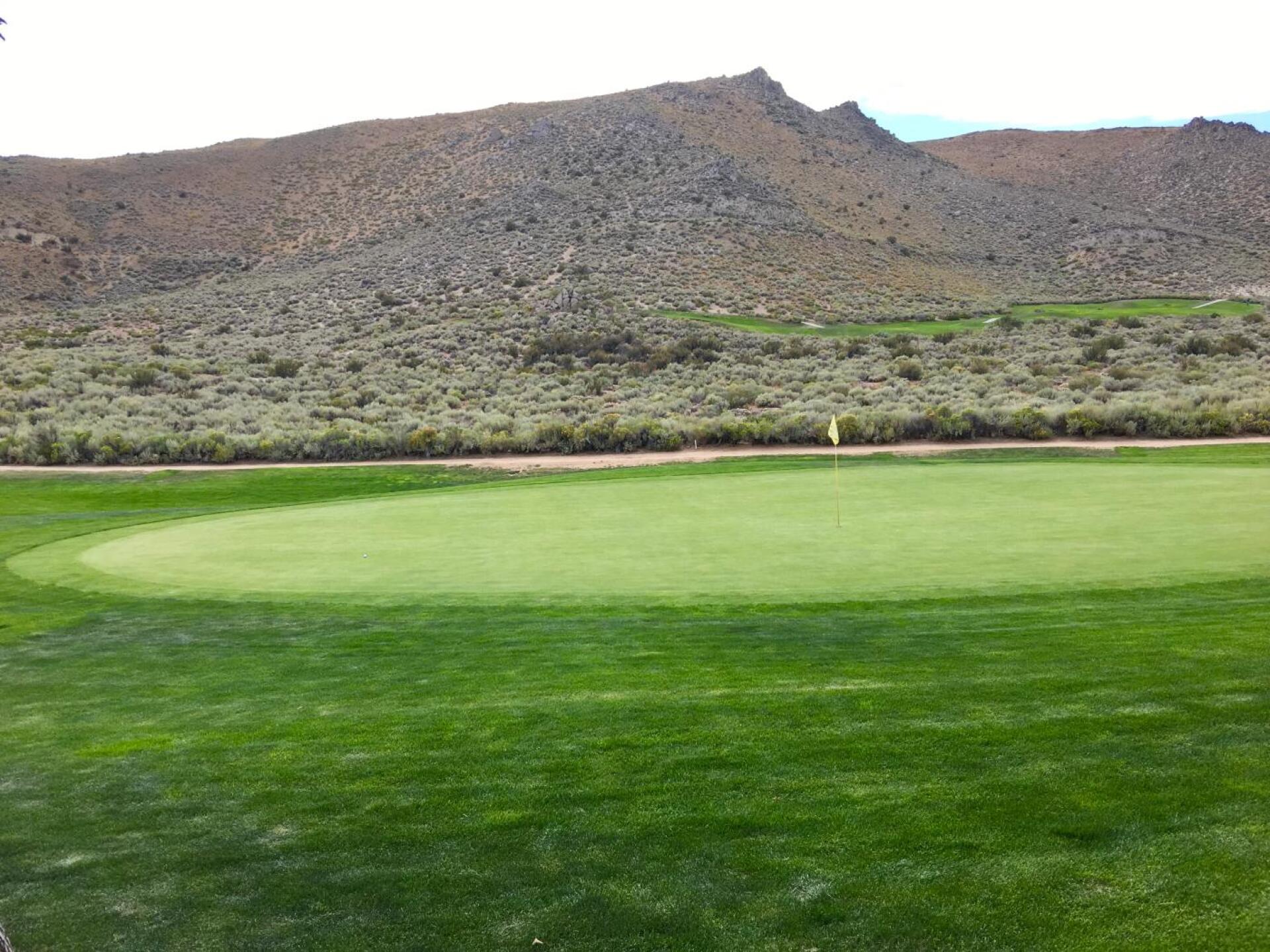 Nice greens (Photo submitted by Cops1998 on 09/16/2019)