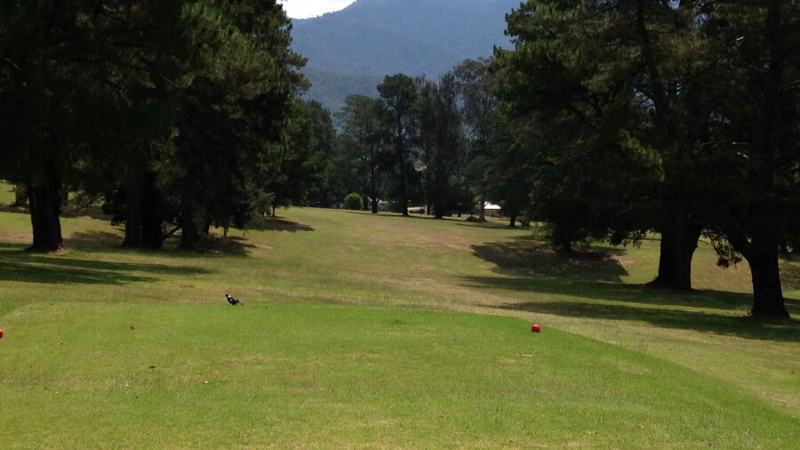 Mount Beauty GC: #16