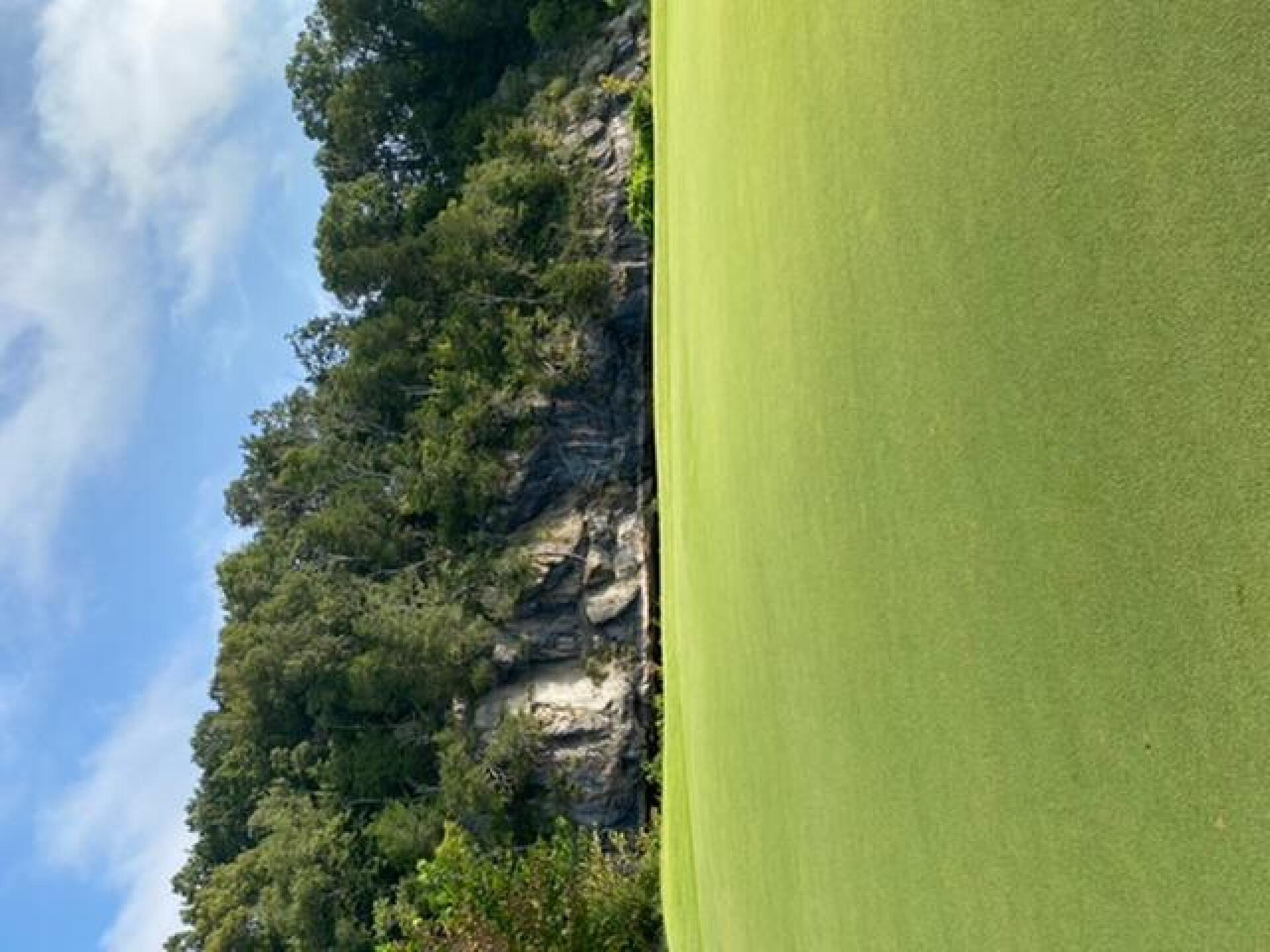 (Photo submitted by eshort11 on 09/11/2020)