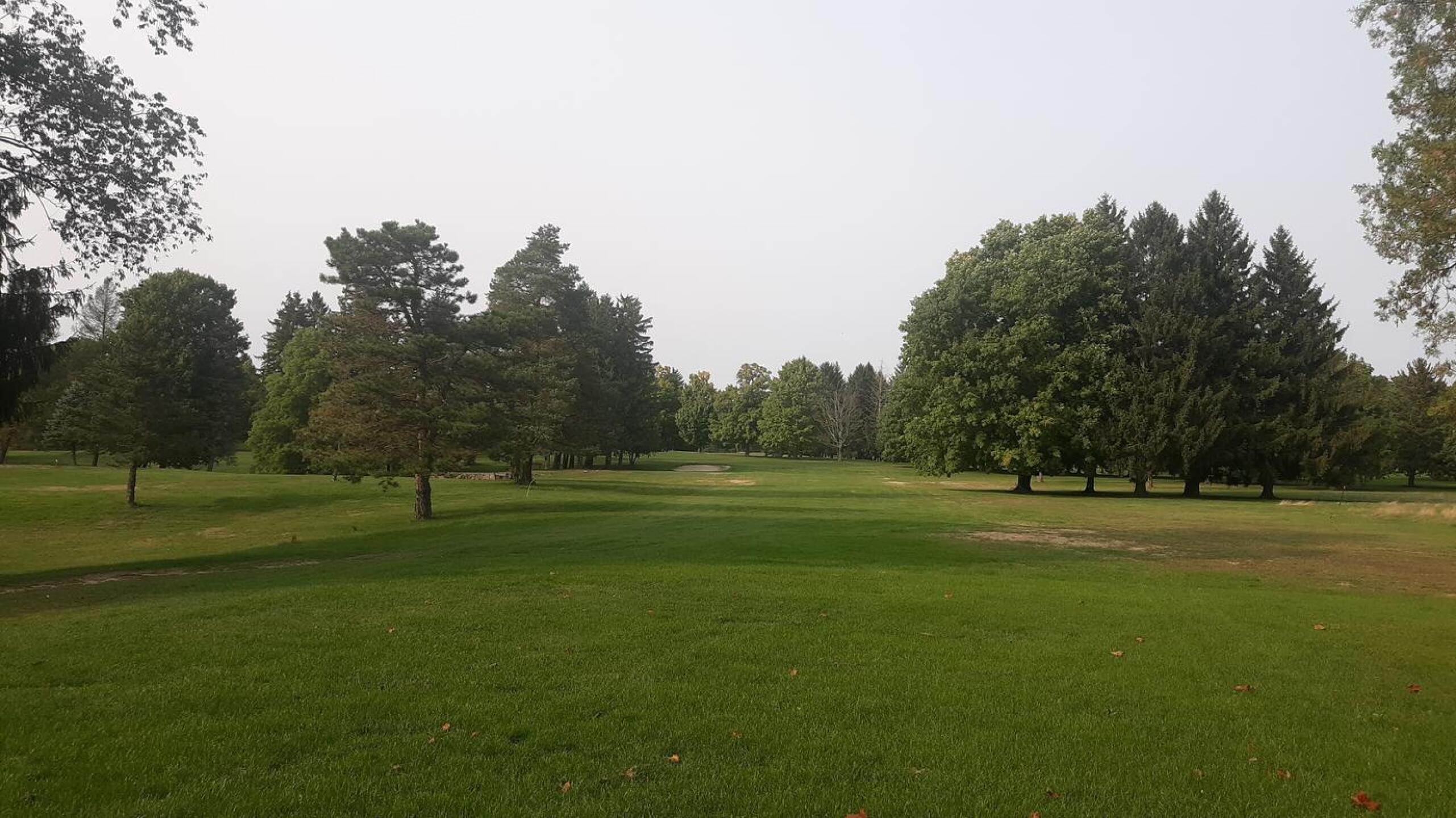 (Photo submitted by allennoell on 10/12/2020)