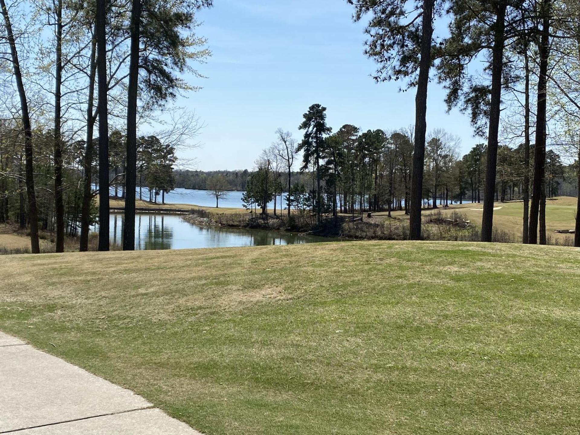 (Photo submitted by 9584104311490550985 on 03/29/2022)