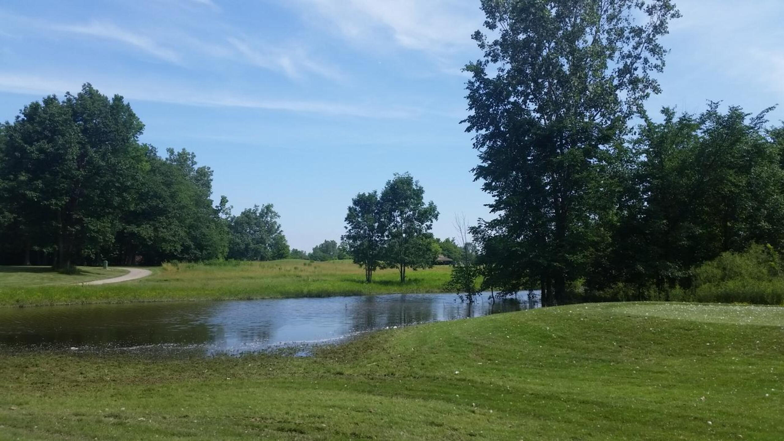 (Photo submitted by tigerjim13 on 06/20/2015)