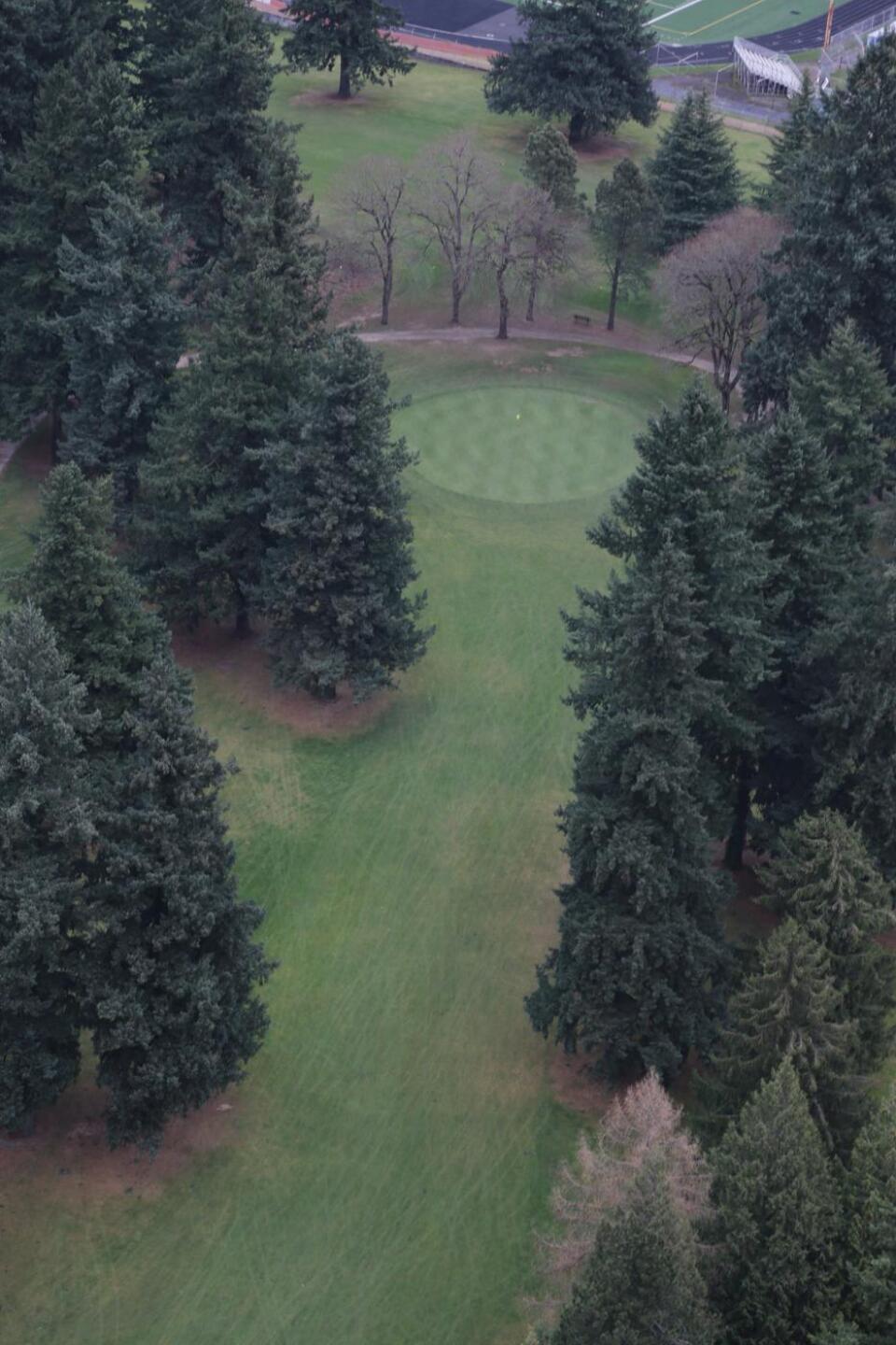 #13 on back nine (Photo submitted by Shots123 on 12/08/2020)