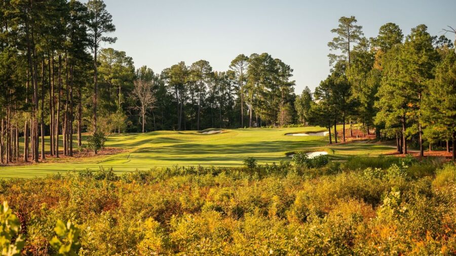 UNC Finley GC