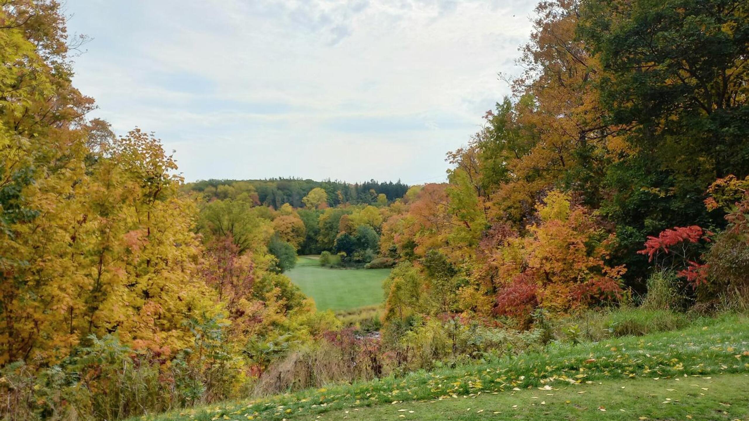 Tee deck #11 (Photo submitted by u314163471522 on 10/13/2022)