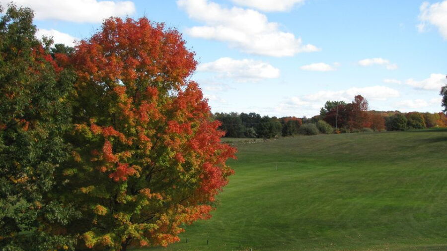 Clear Lake GC