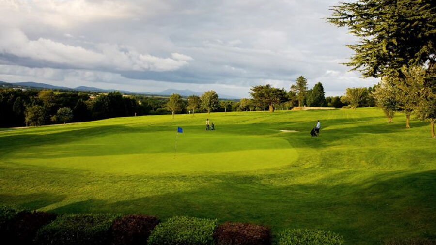 Mallow GC: #18