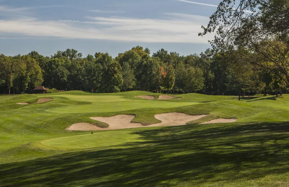 Fox Run GC: #8
