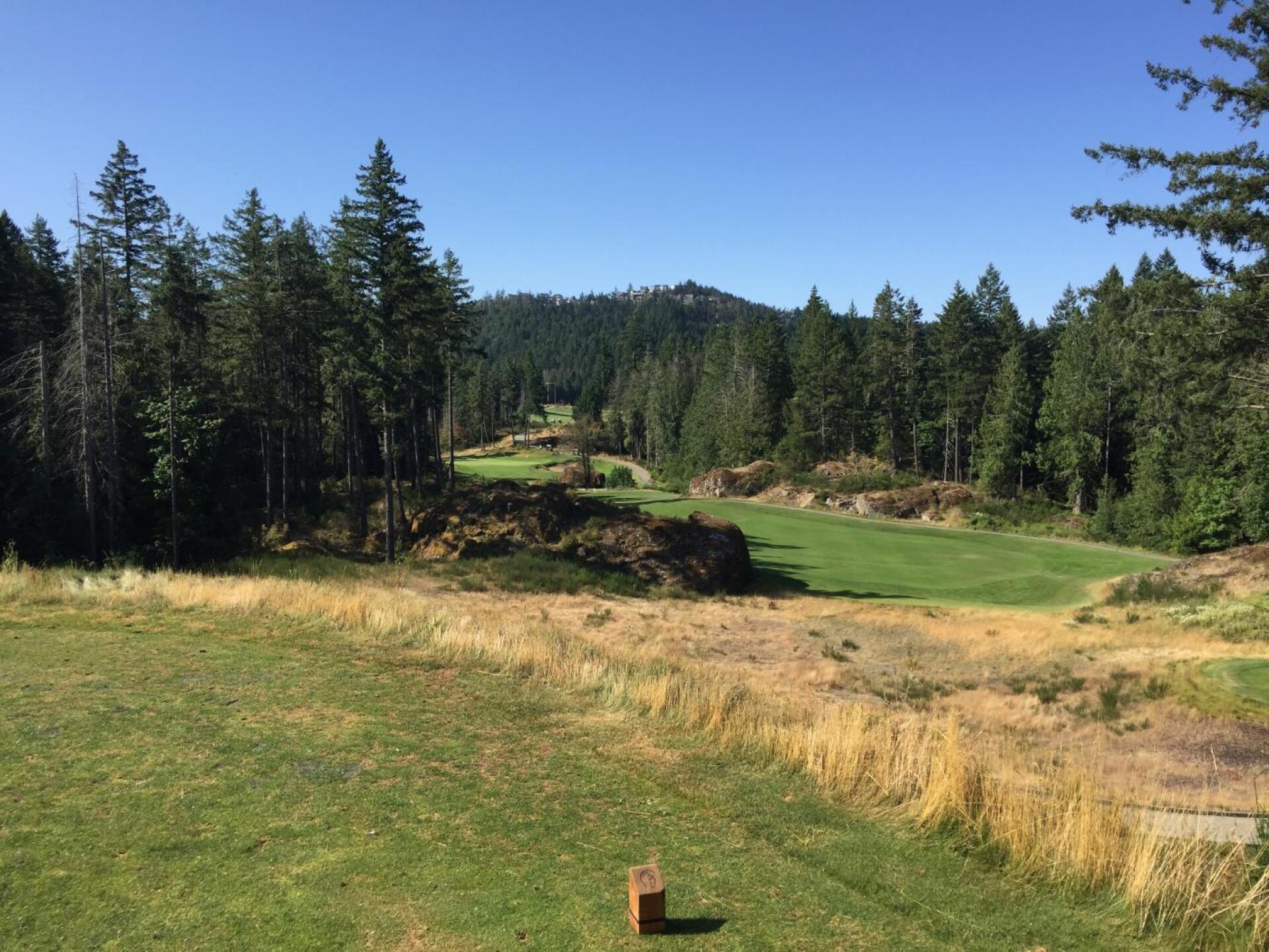 (Photo submitted by SJHbuttercut on 07/31/2019)