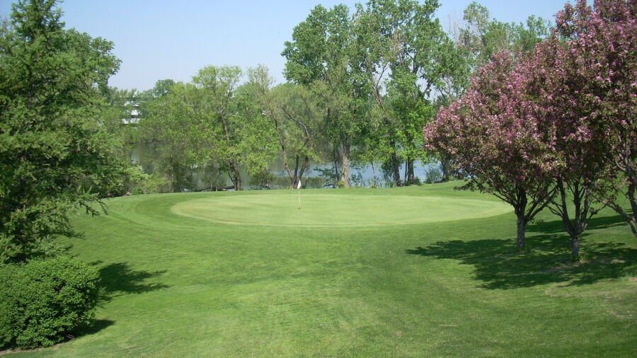 Roseville Cedarholm GC: #4