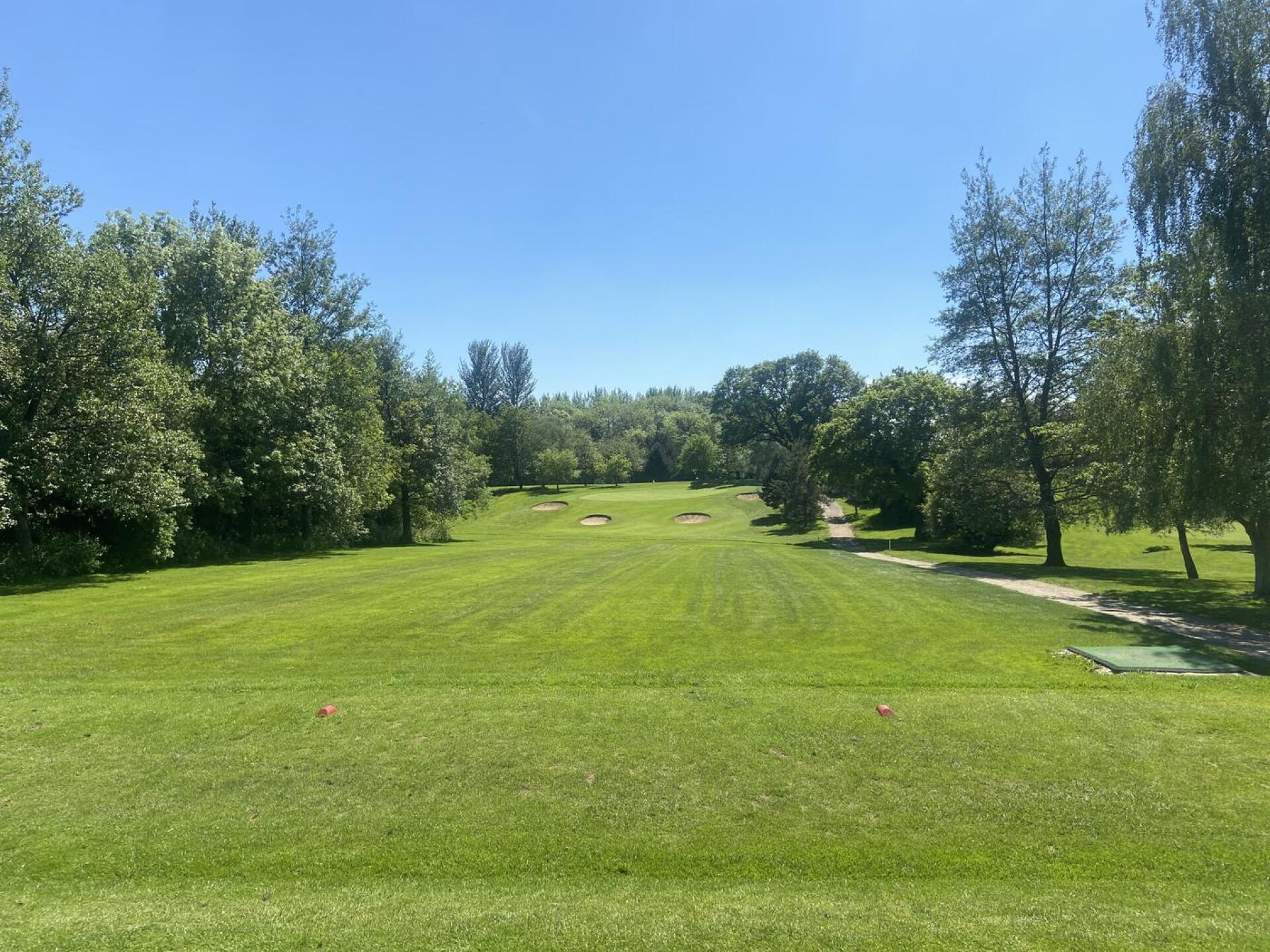 (Photo submitted by u314160932391 on 05/30/2021)