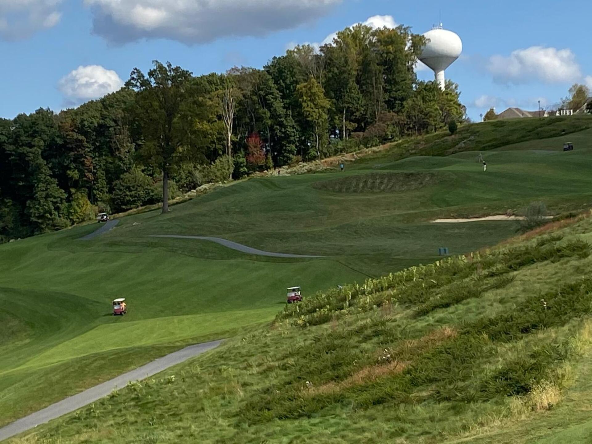 (Photo submitted by semaj63 on 10/05/2020)