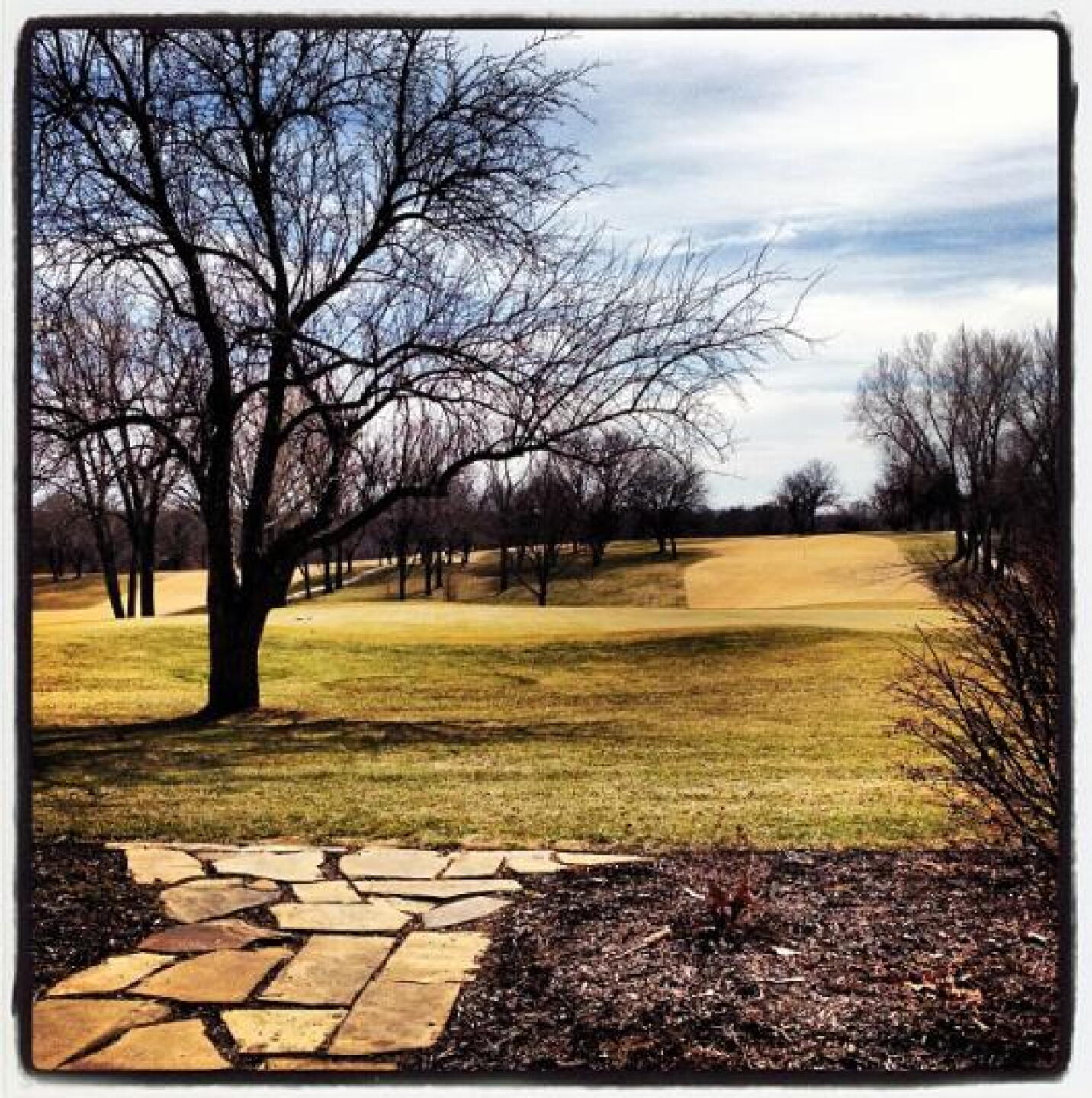 St. Patty's Tourney #82degrees (Photo submitted by jasontbuck on 01/12/2015)