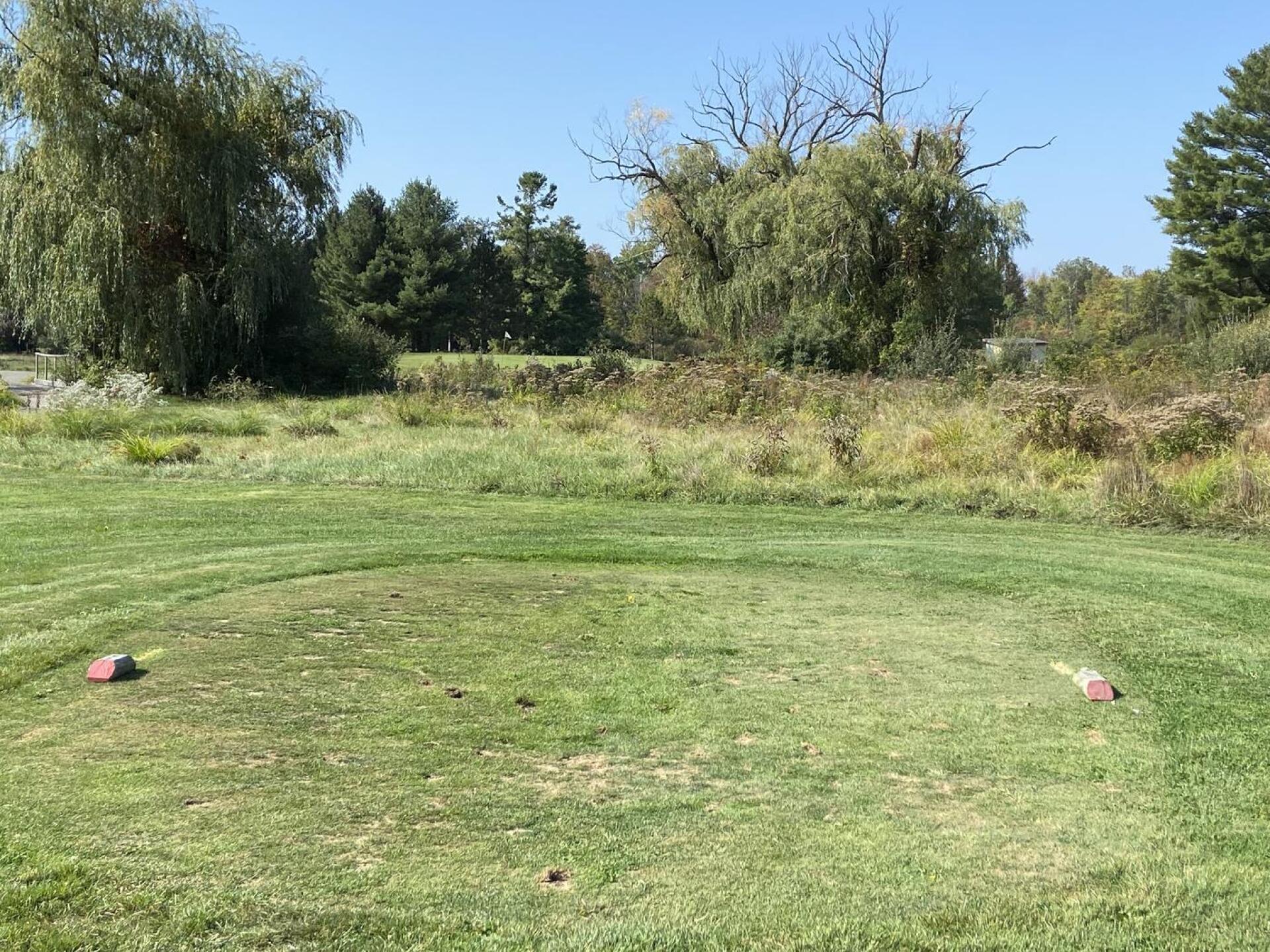 (Photo submitted by u183373765 on 10/08/2025)