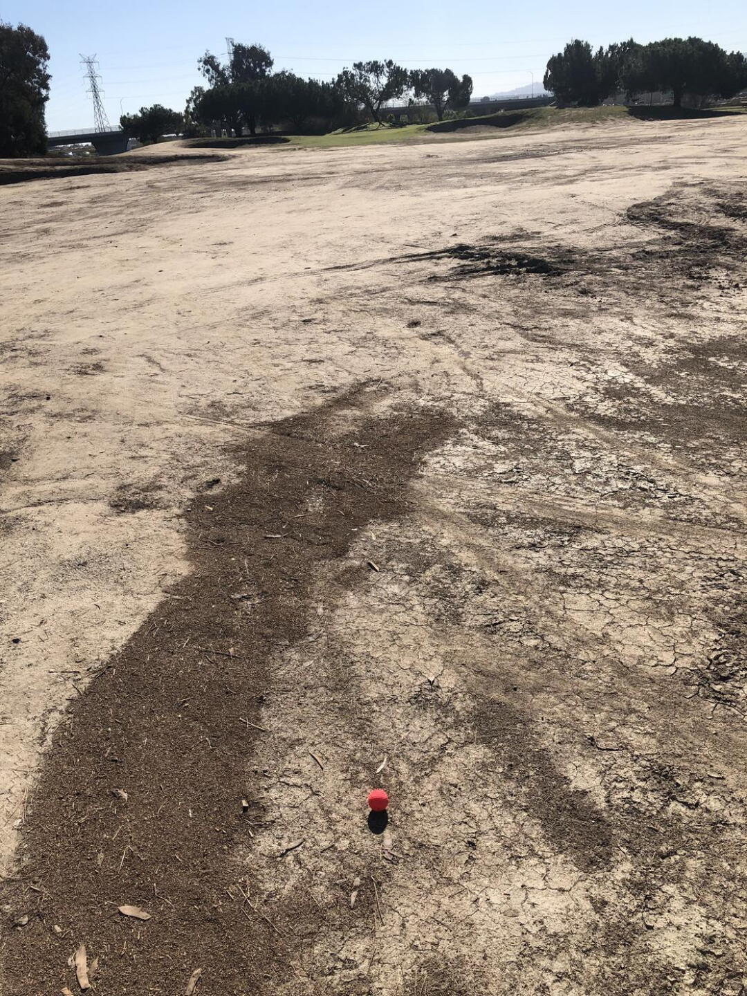 Gofer holes (Photo submitted by jrreid on 12/01/2022)