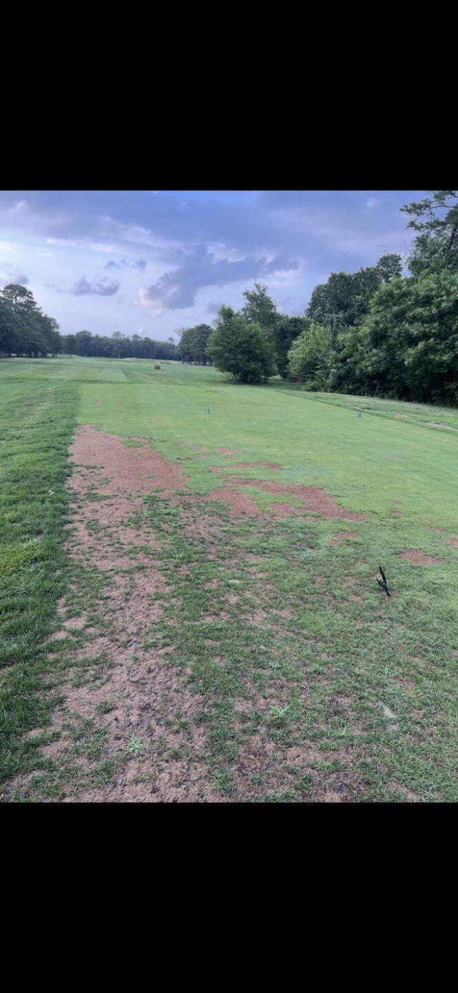 (Photo submitted by jawsgolfstinks69 on 07/22/2025)