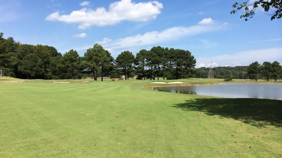 Terri Pines CC
