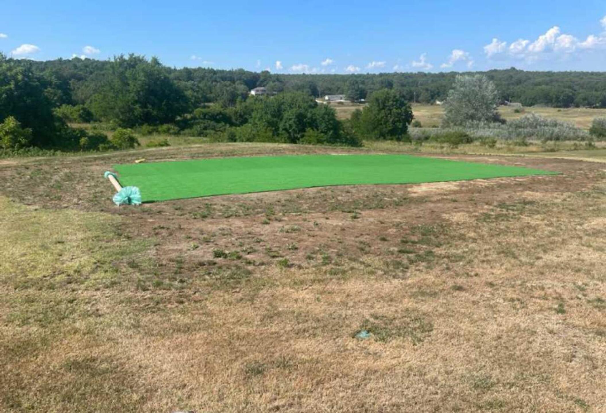 Fake greens (Photo submitted by u314163747012 on 08/30/2023)