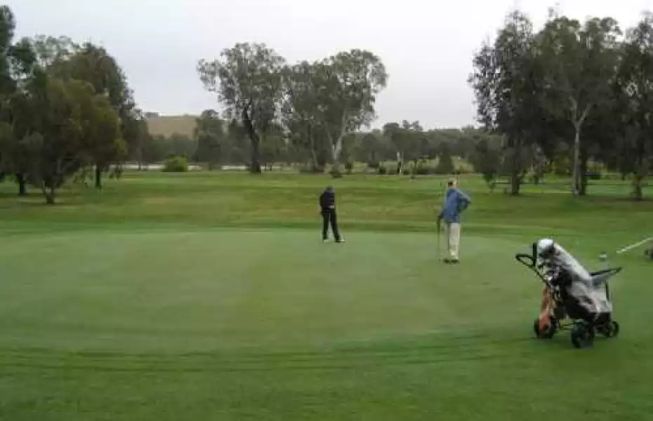 Alexandra GC