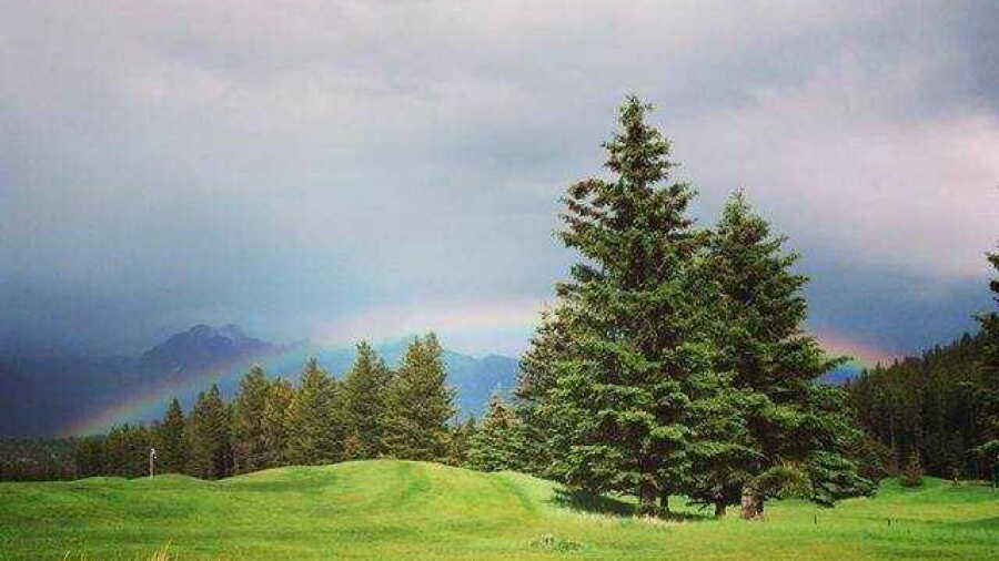 Banff Springs GC