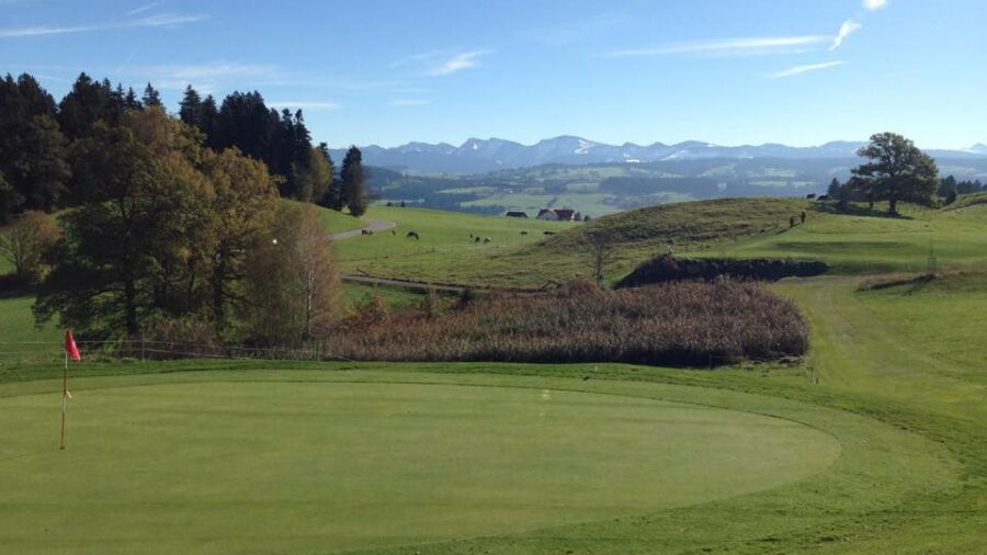Scheidegg GC