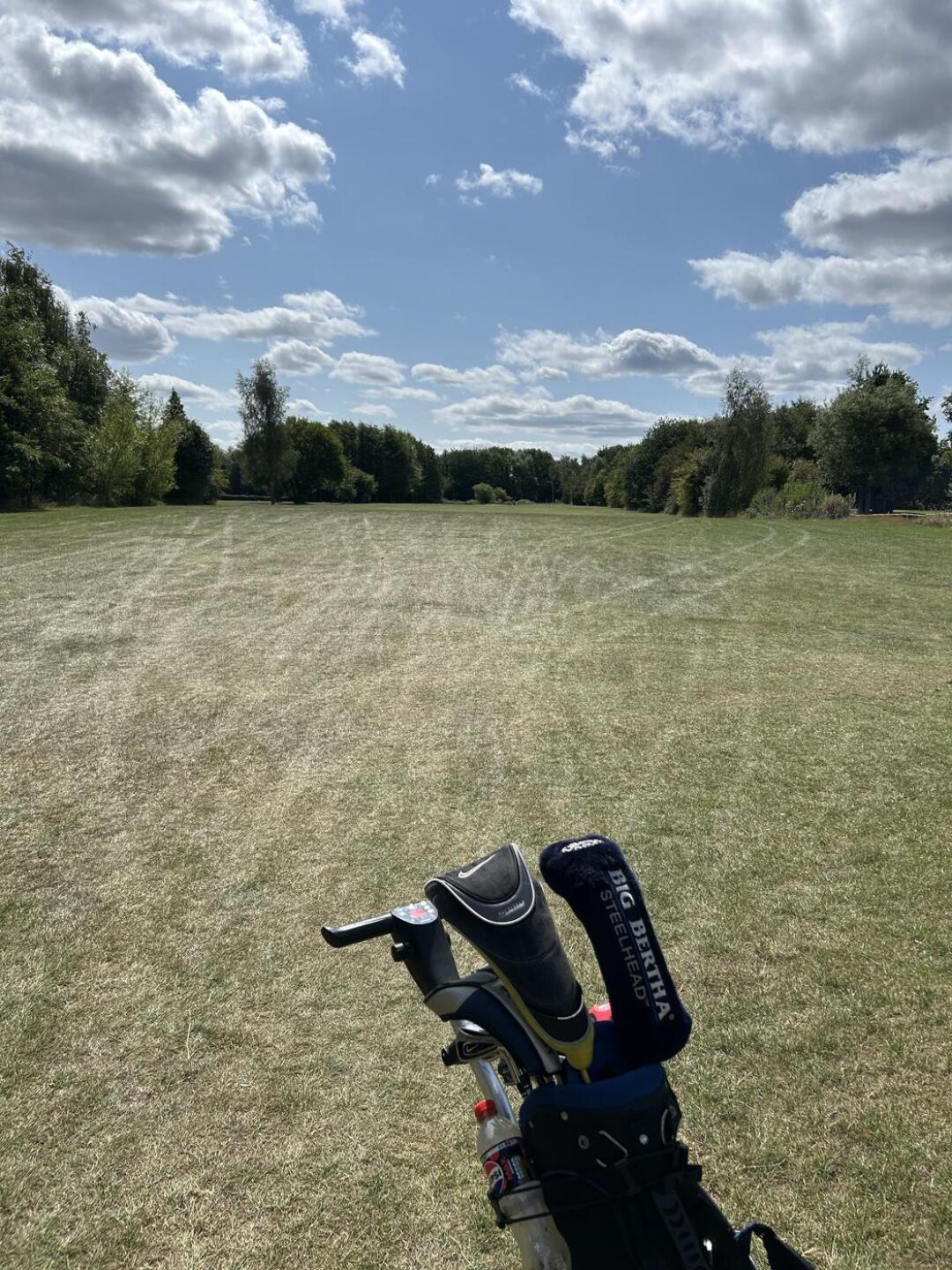 (Photo submitted by IZ9C02uPngLaMKXIu2UQ on 09/15/2025)