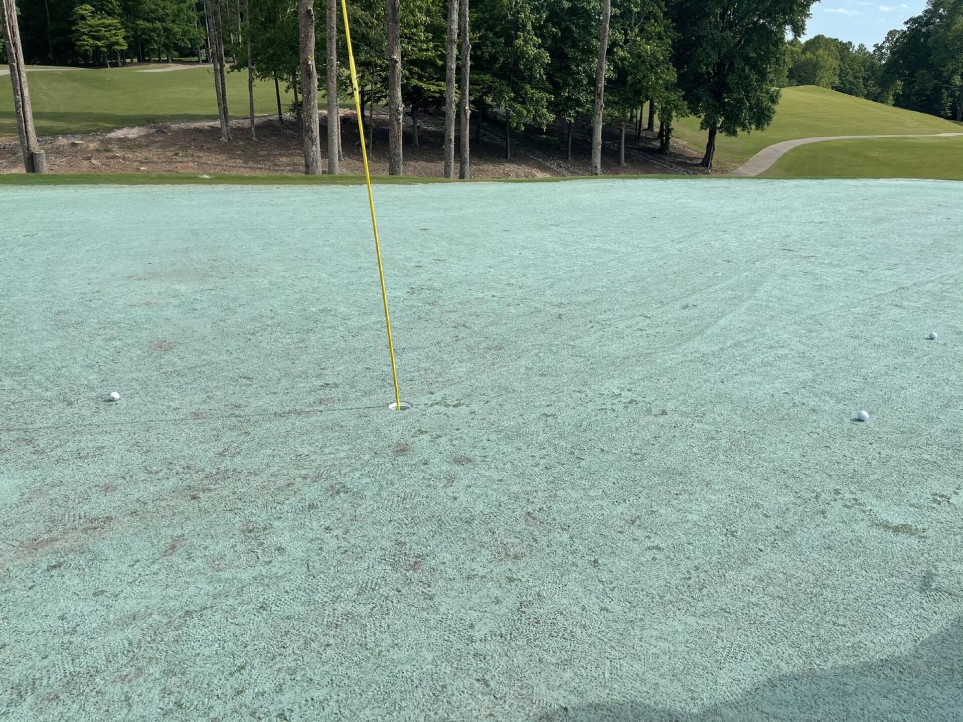 (Photo submitted by nsfolds on 05/08/2021)