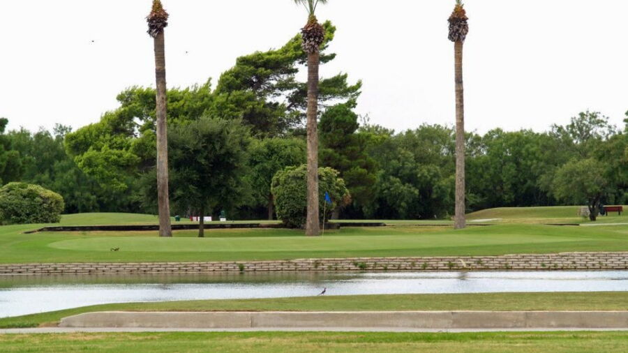 Leaning Pine GC: #3