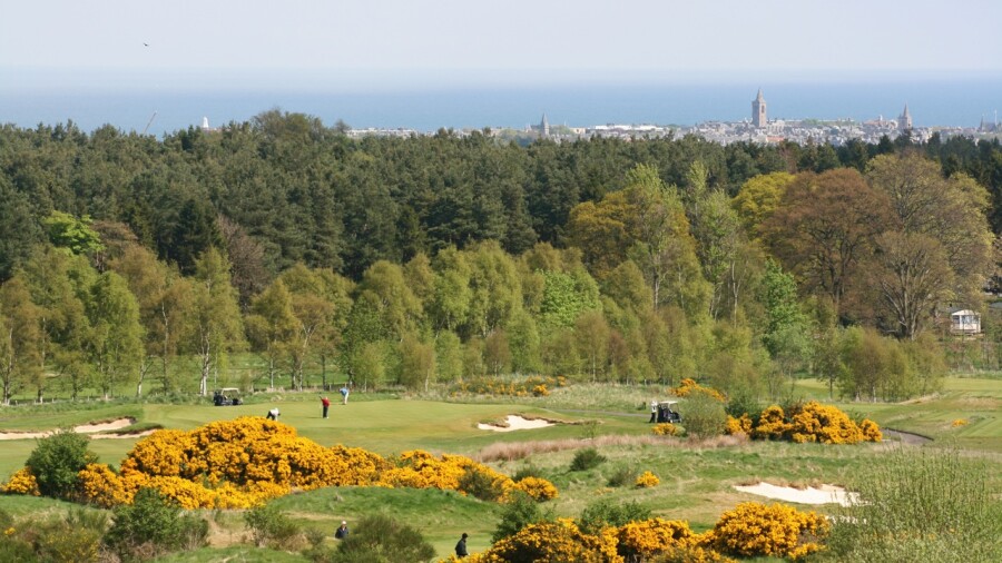 The Duke's Course in St. Andrews - Hole 7
