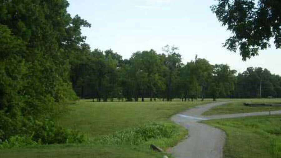 Oak CC: #4