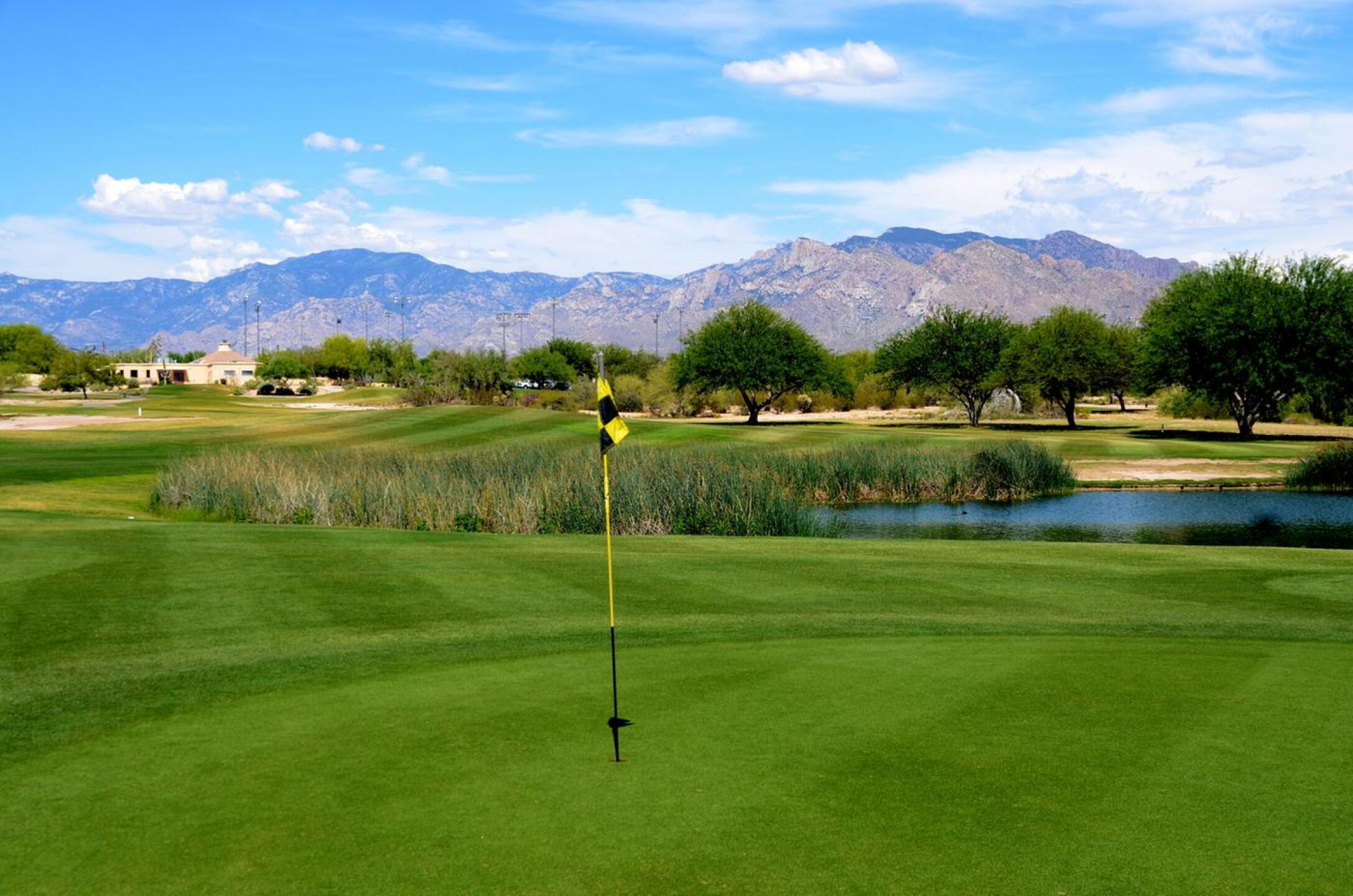 Views of the Catilina Mountains enhance the course. (Photo submitted by edstone40 on 07/11/2015)
