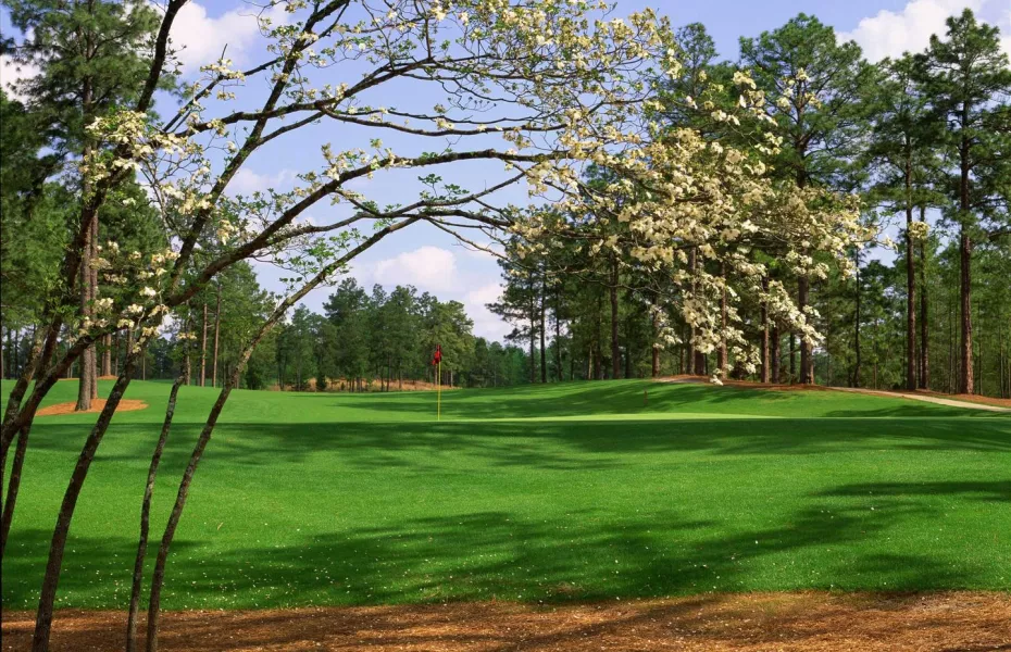 Pinehurst Resort & CC - No. 8: #1