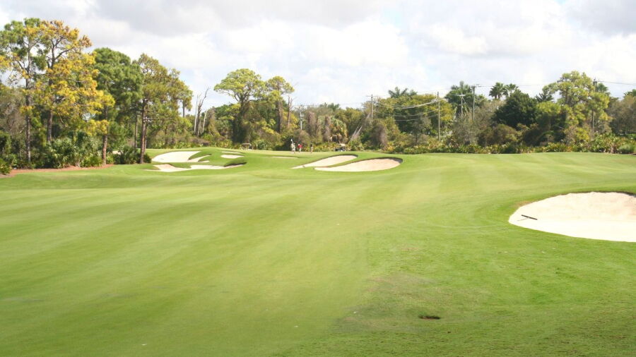 The Colony GCC