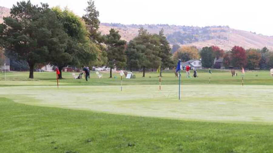 Pierce Park Greens: Putting green