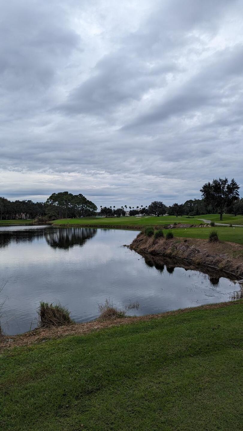 (Photo submitted by tiburonazo on 11/30/2023)