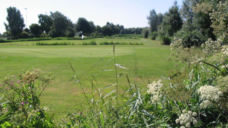 AMVJ Golf