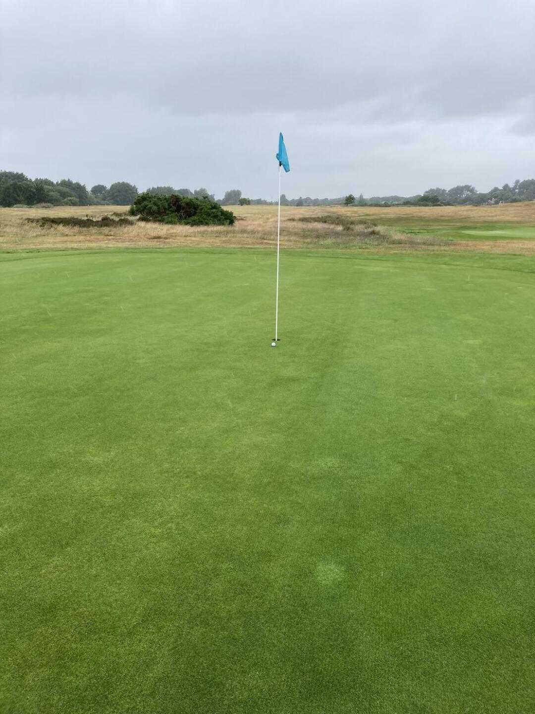 (Photo submitted by u314164206541 on 06/29/2023)