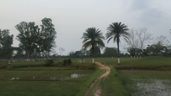 Seleng District Club