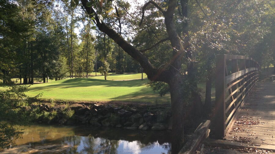 Auburn Links