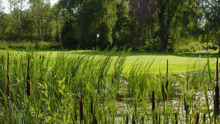 Barcovan GC