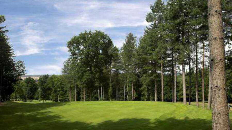 Woodlands at Oak Park: #12