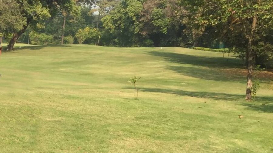 The Willingdon Sports Club