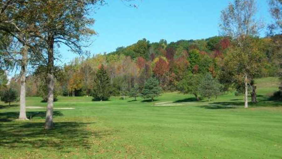 Wild Wood CC: #3