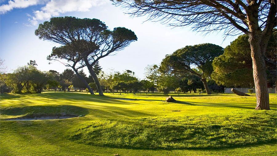 Old Mutual GC - Mupine: #9