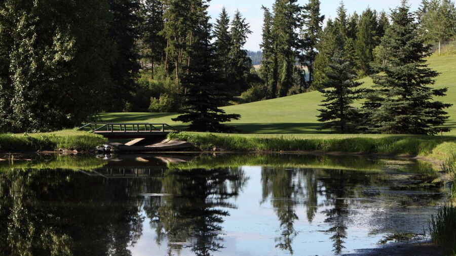 Royal York GC