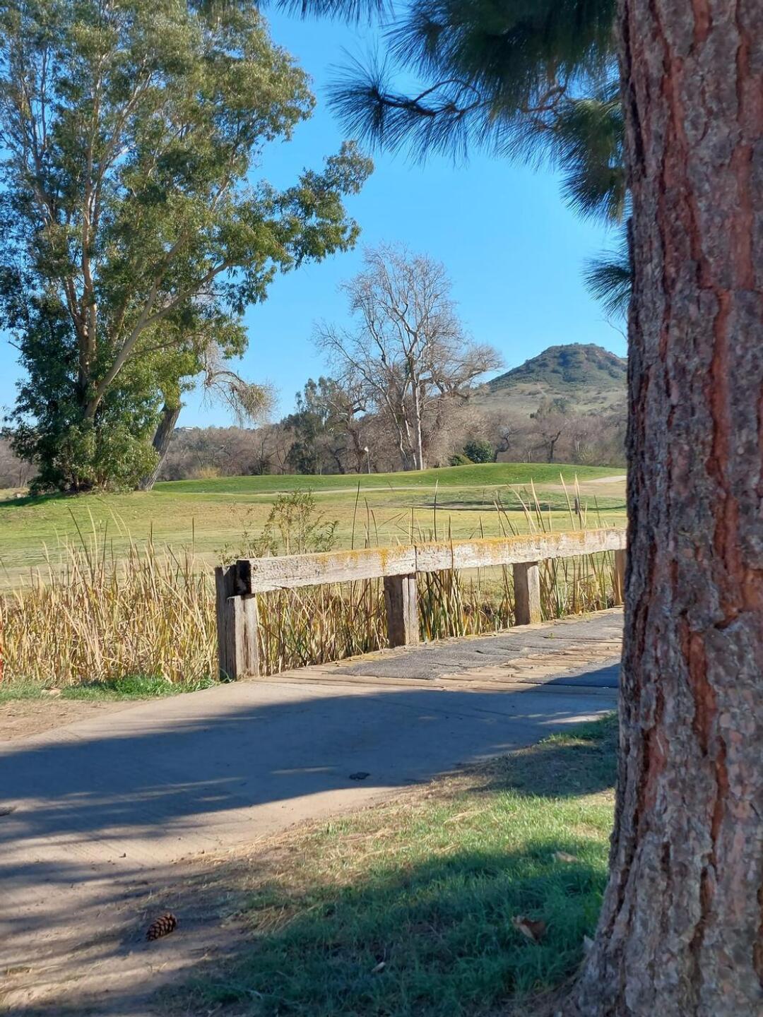 From the 9th fairway looking at the 2nd green. (Photo submitted by sherpaboy on 02/12/2022)