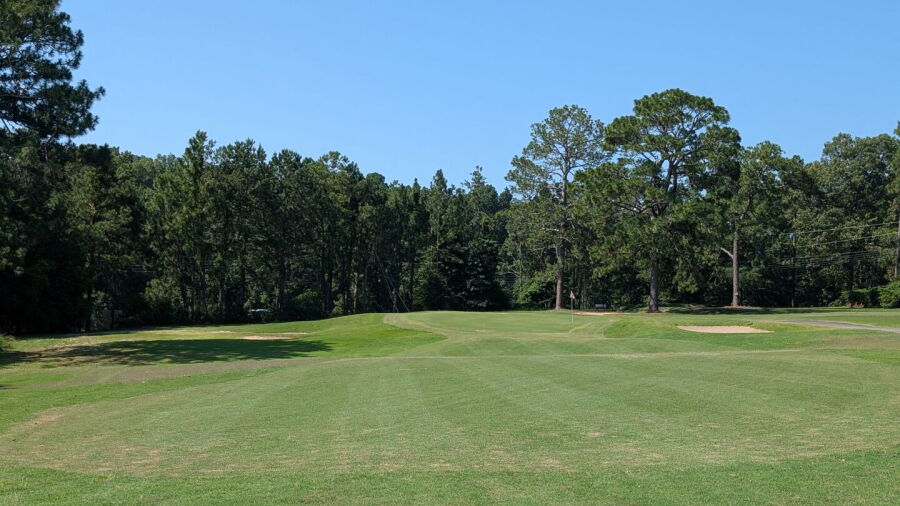 Pine Needles CC