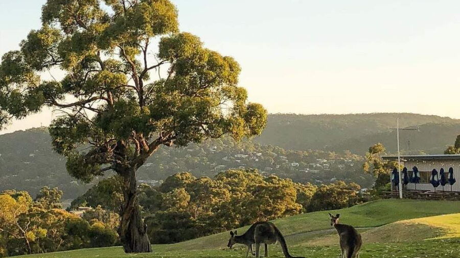 Lorne GC