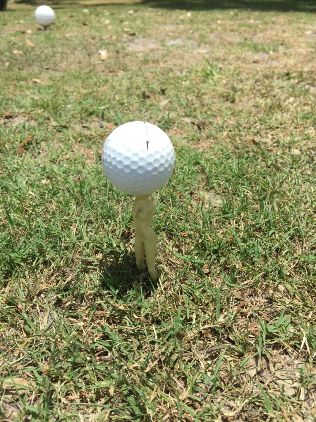 (Photo submitted by 0009243 on 05/30/2019)