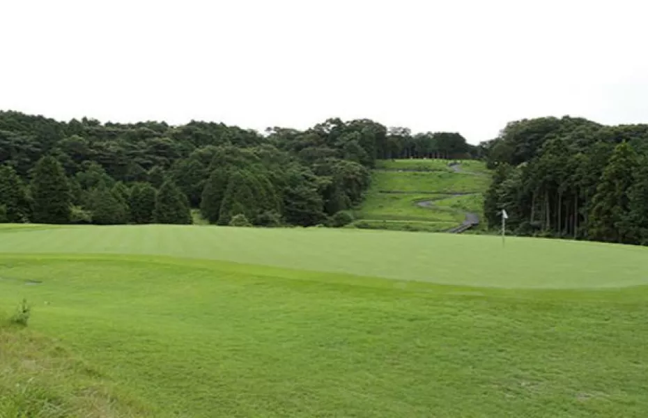 Fuji Chisan CC - Suruga: #8
